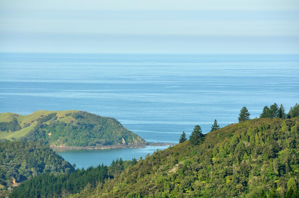 Hopewell B&B Helena Bay Luaran gambar