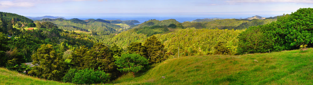 Hopewell B&B Helena Bay Luaran gambar